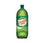 Canada Dry Ginger Ale - 2 L Bottle